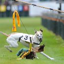 Foto-Forum BEFO-2014-  018